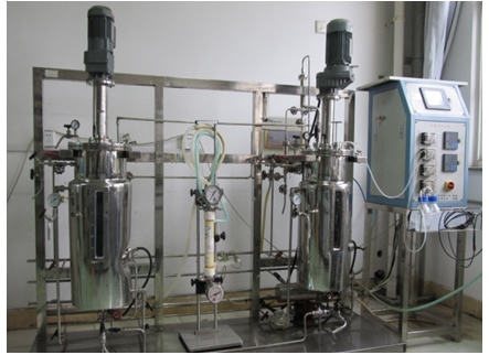 澳门新葡京官网