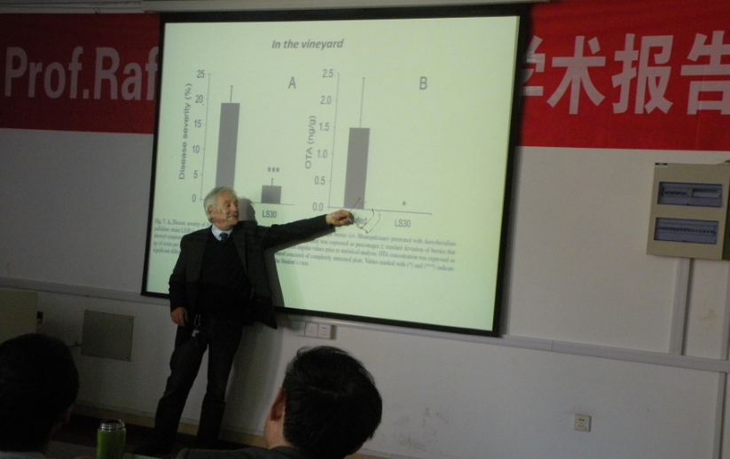 澳门新葡京官网