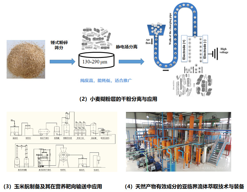 澳门新葡京官网