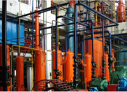 澳门新葡京官网