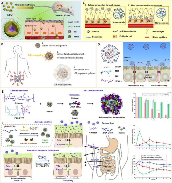 澳门新葡京官网