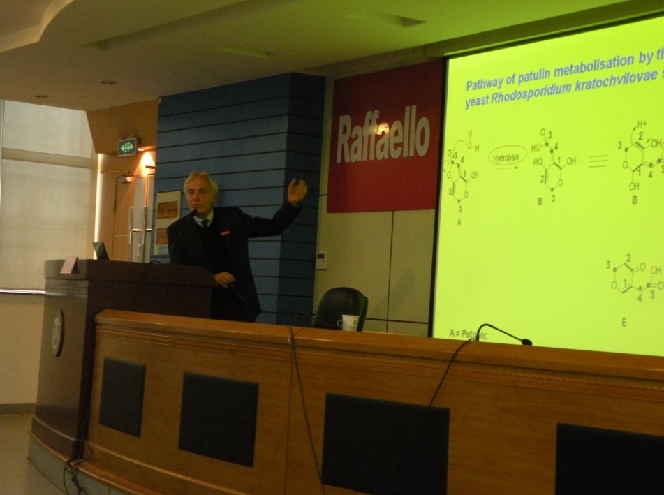 澳门新葡京官网