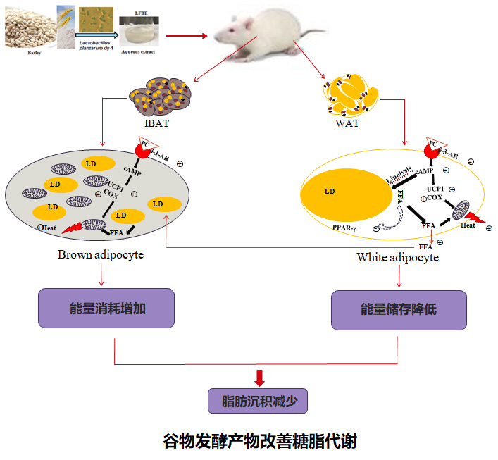 澳门新葡京官网
