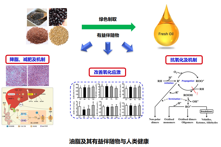 澳门新葡京官网