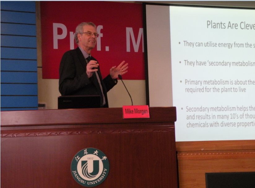 澳门新葡京官网