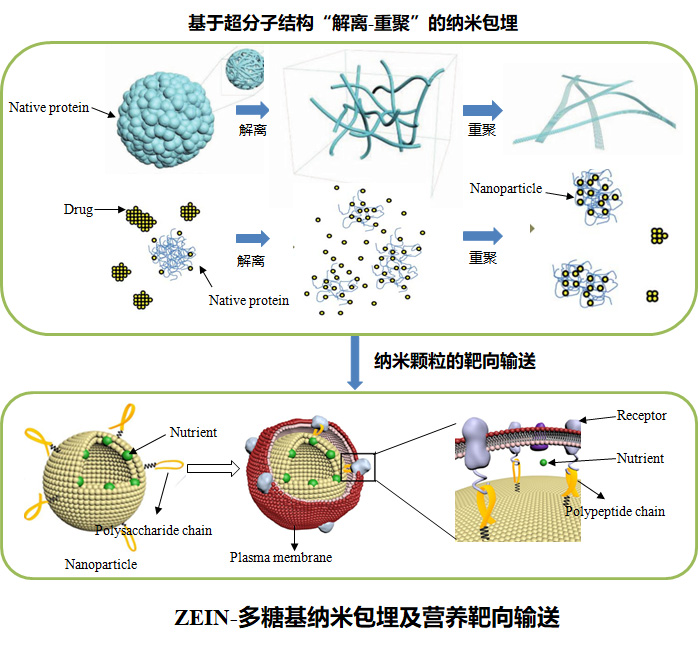 澳门新葡京官网