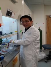 澳门新葡京官网