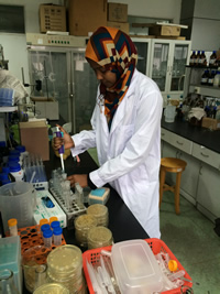 澳门新葡京官网