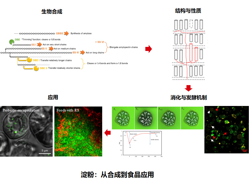 澳门新葡京官网