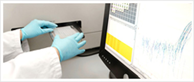 澳门新葡京官网